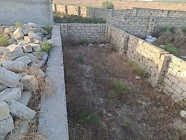 torpaq sahsi: 3 sot, Tikinti, Bələdiyyə — 4