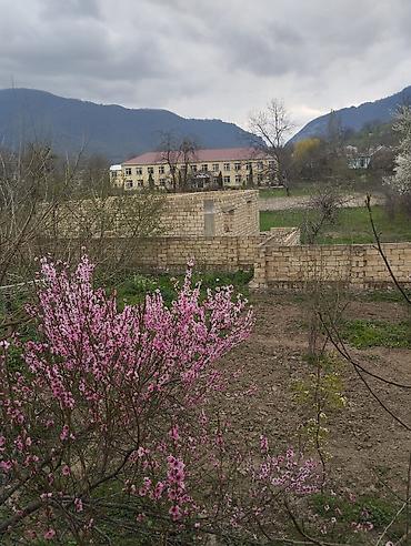 Torpaq sahələrinin satışı: 14 sot, Makler, Kupça (Çıxarış) — 6