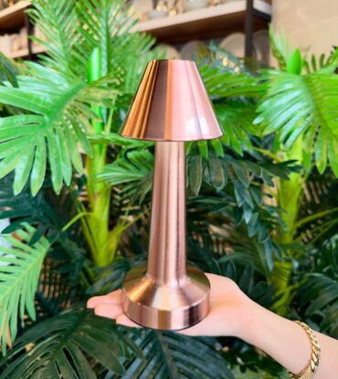 Buynuzlar: Masa üsdü lampa digər çeşidlər və modellər var məlumat üçün zəng
