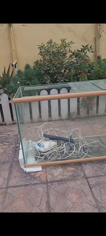 xani baliq: Şüşə akvarium komplekti - Material: qalın şüşə panellər, kənarlarda — 5