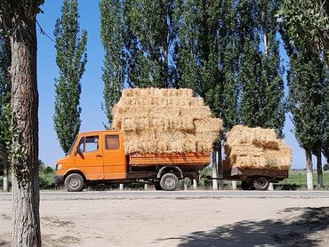 мерс унверсал: Mercedes-Benz T1: 1989 г., 3 л, Механика, Дизель, Фургон