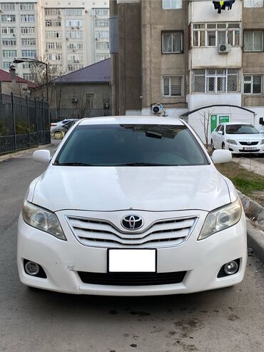 лупарик 55: Toyota Camry: 2009 г., 2.5 л, Автомат, Газ, Седан