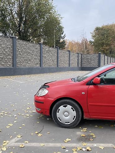 Toyota: Toyota Corolla: 2003 г., 2 л, Механика, Дизель, Универсал — 19