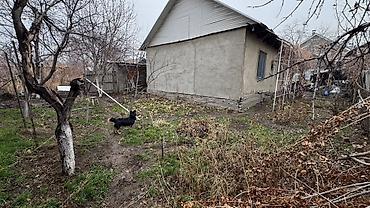Продажа домов: 4 комнаты, 80 м², 375 соток, Бишкек, Рабочий Городок Собственник — 4