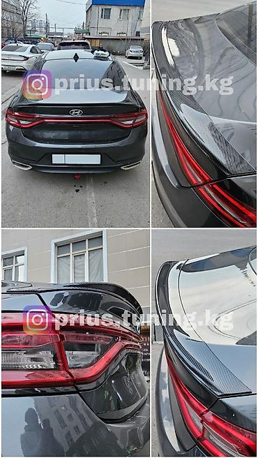 gra: Декоративные накладки На зеркала, Пластик, Hyundai, Новый, Самовывоз, Платная доставка — 6