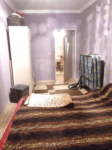azadliq ev: Tam temirli esyali menzil her kese kiraye verilir.heyvanlarin — 7