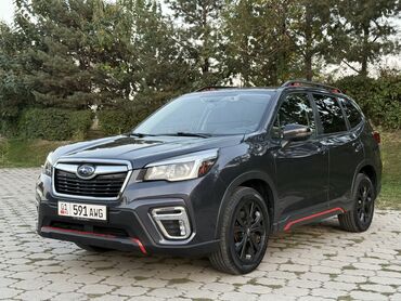 клыки форестер: Subaru Forester: 2019 г., Вариатор, Кроссовер