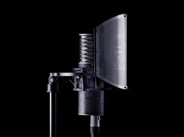 акустические системы inpher с микрофоном: Конденсаторный микрофон Aston Microphones Spirit + аксессуары