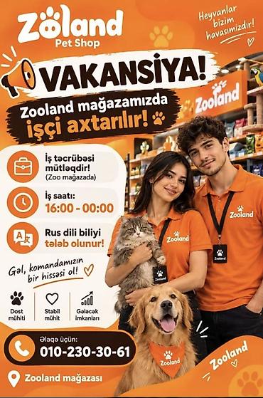azercell vakansiya operator: Satış məsləhətçisi tələb olunur, 18-29 yaş, 1-2 illik təcrübə, Aylıq ödəniş — 1