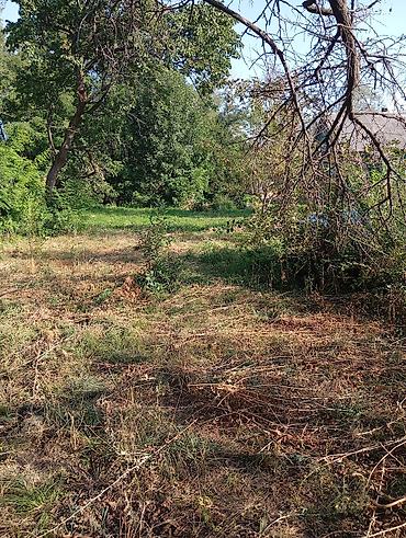 ошский рынок место: Дом с участком и мебелью Сокулук село Саз 52 сотых по красный книге — 4