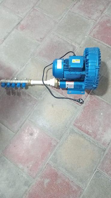 qida məhsullarının topdan satışı: Sənaye hava kompressoru/air blower – çox çıxışlı paylayıcı ilə Son — 2