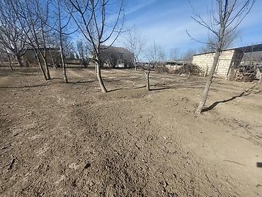 Torpaq sahələrinin satışı: 8 sot, Mülkiyyətçi, Kupça (Çıxarış) — 2