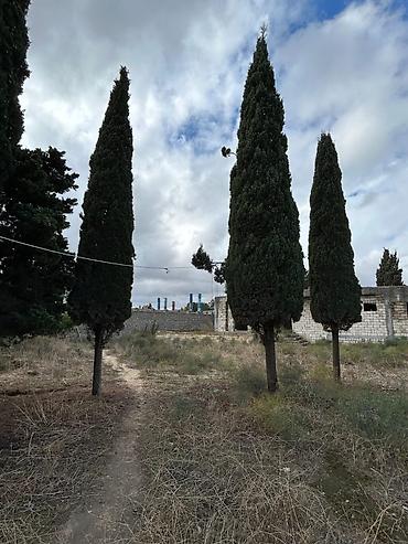 Torpaq sahələrinin satışı: 24 sot, Tikinti, Mülkiyyətçi, Kupça (Çıxarış) — 8