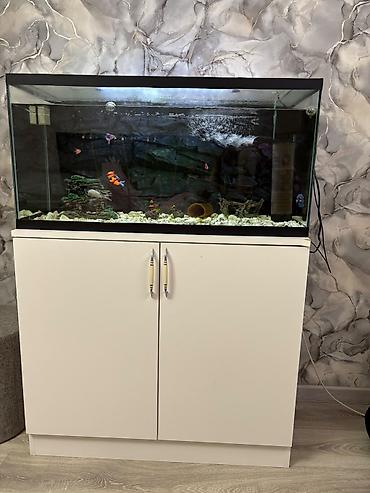 Təcili satılır 250 azn 🆘 En 90 sm Hündürlük 45 sm İç dərinlik 37 sm