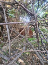 Продажа участков: 5 соток, Для строительства, Красная книга, Тех паспорт, Договор купли-продажи — 5