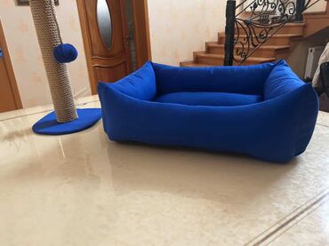 vəhşi pişik: Göy rəngdə, yumşaq materialdan hazırlanmış it və ya pişik yatağı