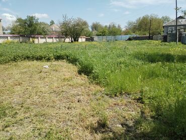qəbələ iş elanları 2022: 15 sot, Tikinti, Mülkiyyətçi, Kupça (Çıxarış)