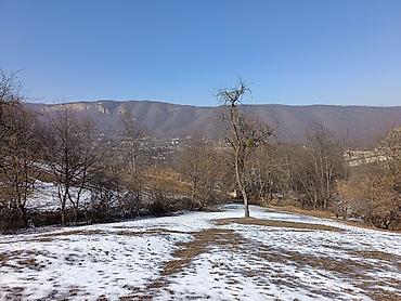 Torpaq sahələrinin satışı: 100 sot, Mülkiyyətçi, Bələdiyyə — 5
