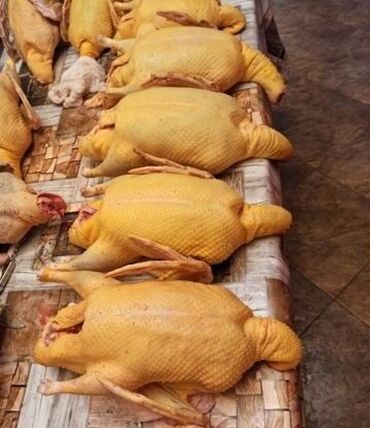 мясо утки: В продаже мясо мускусной утки, индоутки самое не жирное, нежное и