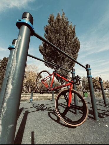 автор велосипед author: Шаардык велосипед, Велосипед алкагы M (156 - 178 см), Колдонулган