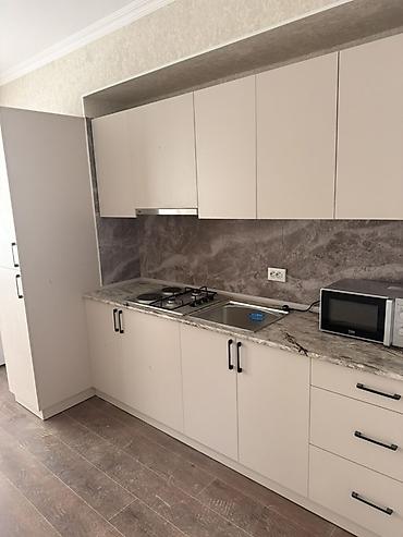 Долгосрочная аренда квартир: 1 комната, С мебелью полностью — 3
