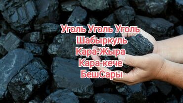������������ ���������� в Кыргызстан | Уголь и дрова: Уголь уголь уголь. Шабыркуль Кара-Жара Кара-кече отборный с доставкой