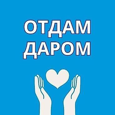 отдам даром детское: Отдам даром вещи на девочку 1-2 года — 1