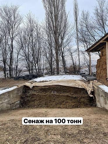 Продажа участков: 1000 соток, Для бизнеса, Красная книга — 10