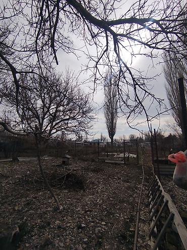 Продажа коттеджей и домов: Продается дом в г. Кара балта 17,5 соток. Мы посадили осенью новый — 15