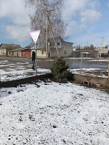 Другие декоративные деревья: Продаются декоративные деревья и кустарники для озеленения участка. В — 5