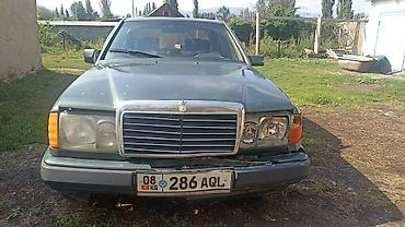 srv 2: Mercedes-Benz S-Class: 1992 г., 2 л, Механика, Бензин, Седан — 8