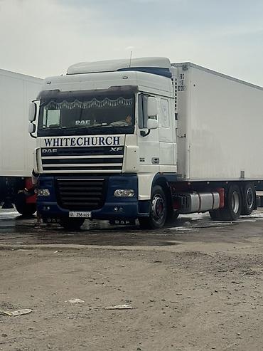 белорус 82 1: Сүйрөгүч, DAF, 2012 г., Муздаткыч, рефрижератор — 3