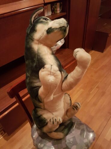 Oyuncaqlar: Oyuncaq it. Çin istehsalı. Uzunluğu 70 - 75 sm. Qiyməti 50 - manat -da lalafo.az — 11 Oyuncaqlar: Oyuncaq it. Çin istehsalı. Uzunluğu 70 - 75 sm. Qiyməti 50 - manat — 11