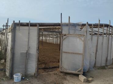 Digər kənd təssərüfat avadanlığı: Türkan qəsəbəsində parnik satılır uzunu 60m eni 11m 3000manat əlaqə