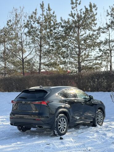 лексус 2017: Lexus NX: 2017 г., 2 л, Автомат, Бензин, Кроссовер