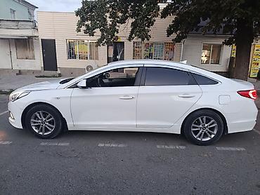 elantra 2017: Hyundai Sonata: 2017 г., 2 л, Автомат, Газ, Седан — 1