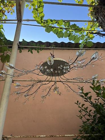 cilciraq lar: Çılçıraq, 10 və daha çox lampa, Metal — 1