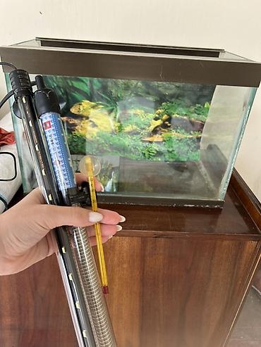 akvaryum aksesuarları: Akvaryum dəsti Eni 24 sm Uzunluq 45 sm Hündürlük 31 sm İsidici — 1