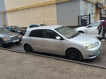 Toyota: Toyota Allex: 2003 г., 1.5 л, Автомат, Бензиновая, Хэтчбэк — 3