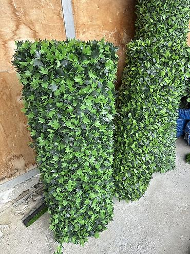 kələm gülü: 🌿 Yaşıl Hasar – Təbii Görünüş, Uzunömürlü Keyfiyyət! 🌿 🏗 Paslanmaz — 6