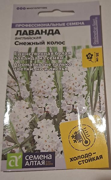 qoz tinglərinin satışı: Məhsul: Peçatlı toxum paketləri (bəzək və ətirli bitkilər) 1) Pentas — 3