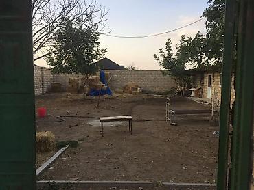 Сельско-хозяйственное оборудование: Quşçuluq təsərrüfatı və yardımçı yaşayış sahəsi - Geniş həyətyanı — 9
