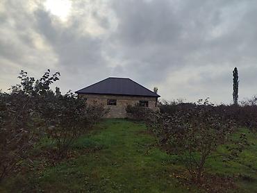 bag evi kirayə gunluk: 15 sot, Tikinti — 3