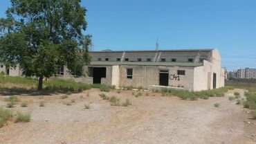 Torpaq sahələrinin satışı: 200 sot, Tikinti, Makler, Kupça (Çıxarış) — 23