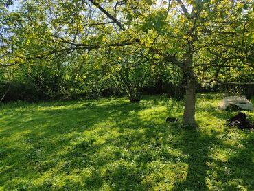 Torpaq sahələrinin satışı: 12 sot, Tikinti, Mülkiyyətçi, Kupça (Çıxarış) — 8