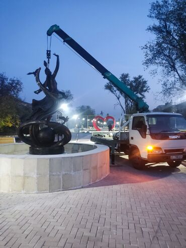 мини пагуришик: Манипулятор, Iveco