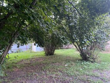 Bağ evlərinin satışı: Bakı, 1200 kv. m, 5 otaqlı, Hovuzsuz, İnternet, Artezian quyusu, Su -da lalafo.az — 10 Bağ evlərinin satışı: Bakı, 1200 kv. m, 5 otaqlı, Hovuzsuz, İnternet, Artezian quyusu, Su — 10