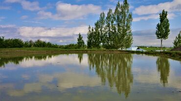 Fotokameralar: Canon 70D satılır əla vəziyyətdədir üstündə 18-135 lensultra — 4