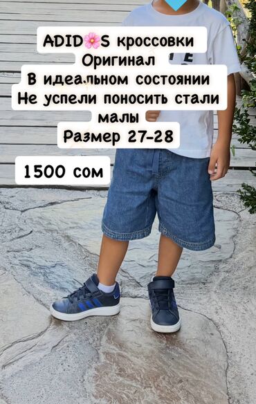обувь асикс купить: Восток 5
Оригинал