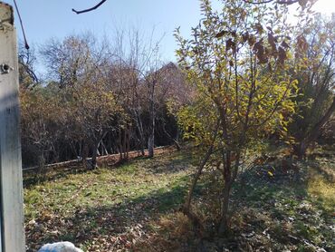 Продажа домов: Дом, 50 м², 3 комнаты, Собственник, Косметический ремонт — 10